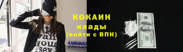 бошки Пересвет
