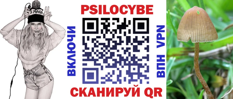 Галлюциногенные грибы GOLDEN TEACHER  Купить закладки  Котельники 
